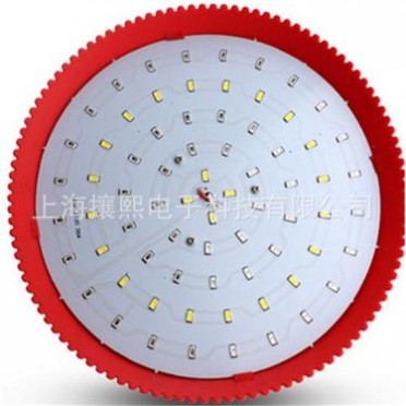 高品质LED生鲜照明灯选购指南，适用于超市熟食蔬菜水果海鲜展示