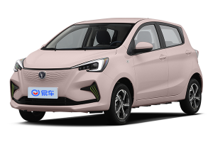 微型纯电实拍解析：内饰全景与空间表现详测，本地参考价出炉