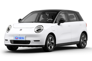 五门纯电小车全景解析:内饰空间与购车政策全览 五门纯电小车全景解析:内饰空间与购车政策全览