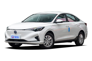 纯电家轿实拍解析：内饰全景与空间表现如何？价格是否有惊喜