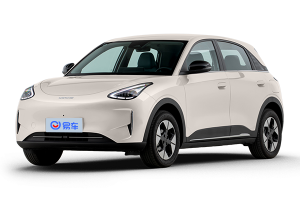 星愿实拍图解析 内饰全景 外观细节 本地优惠价与续航表现