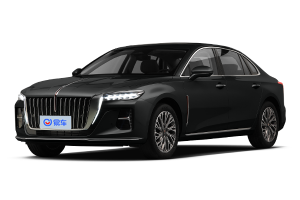 红旗H5实拍评测：油耗表现与性价比分析