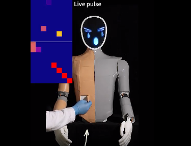 中国科学家发明新型机器人皮肤｜让机器人感知疼痛并瞬间反应