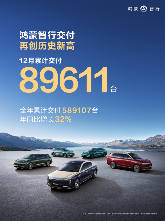 2025年新势力销量成绩单：未来竞争格局深度解析