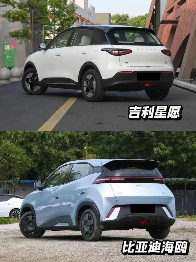 欧拉为何没造出长城的海鸥和星愿？