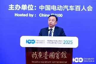 十大金句，车圈的焦虑与坚守 | 看见2025