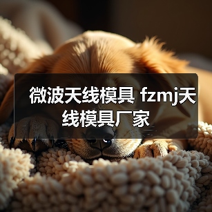 微波天线模具 fzmj天线模具厂家（图3）