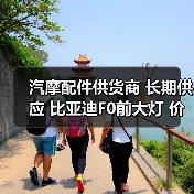 汽摩配件供货商 长期供应 比亚迪F0前大灯 价廉物美（图4）