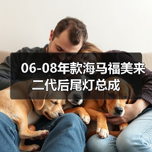 06-08年款海马福美来二代后尾灯总成（图3）