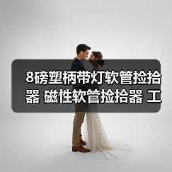 8磅塑柄带灯软管捡拾器 磁性软管捡拾器 工具软管（图4）