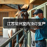 江苏常州室内顶灯生产（图4）