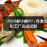 2026款小鹏P7+在奥地利工厂完成试制(图2) 2026款小鹏P7+在奥地利工厂完成试制(图2)