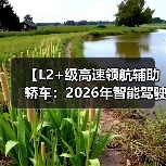 【L2+级高速领航辅助轿车：2026年智能驾驶新体验全面解析】（图2）