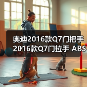 奥迪Q7门拉手ABS电镀件全攻略 奥迪Q7门拉手ABS电镀件全攻略