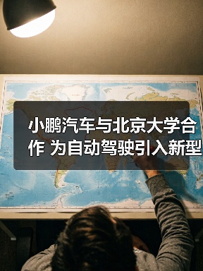 小鹏汽车与北京大学合作 为自动驾驶引入新型视觉标记剪枝框架(图4) 小鹏汽车与北京大学合作 为自动驾驶引入新型视觉标记剪枝框架(图4)
