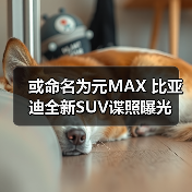 或命名为元MAX 比亚迪全新SUV谍照曝光(图3) 或命名为元MAX 比亚迪全新SUV谍照曝光(图3)