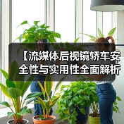 【流媒体后视镜轿车安全性与实用性全面解析,2026年车主必看指南】 【流媒体后视镜轿车安全性与实用性全面解析,2026年车主必看指南】