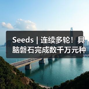 Seeds | 连续多轮!具脑磐石完成数千万元种子轮融资(图4) Seeds | 连续多轮!具脑磐石完成数千万元种子轮融资(图4)