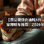 【百公里综合油耗5升家用轿车推荐:2026年省油车型终极指南】(图4) 【百公里综合油耗5升家用轿车推荐:2026年省油车型终极指南】(图4)
