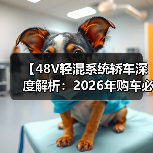 【48V轻混系统轿车深度解析:2026年购车必看的技术指南】(图1) 【48V轻混系统轿车深度解析:2026年购车必看的技术指南】(图1)