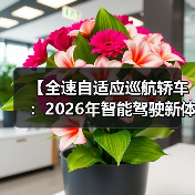 【全速自适应巡航轿车:2026年智能驾驶新体验完全解析】(图2) 【全速自适应巡航轿车:2026年智能驾驶新体验完全解析】(图2)