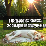【车道居中保持轿车:2026年智能驾驶安全新标准】(图1) 【车道居中保持轿车:2026年智能驾驶安全新标准】(图1)