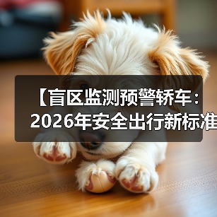 【盲区监测预警轿车:2026年安全出行新标准】(图4) 【盲区监测预警轿车:2026年安全出行新标准】(图4)