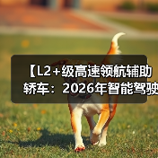 【L2+级高速领航辅助轿车:2026年智能驾驶新体验全面解析】(图4) 【L2+级高速领航辅助轿车:2026年智能驾驶新体验全面解析】(图4)