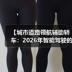 【城市道路领航辅助轿车:2026年智能驾驶的终极体验指南】(图4) 【城市道路领航辅助轿车:2026年智能驾驶的终极体验指南】(图4)