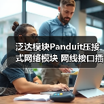泛达模块Panduit压接式网络模块 网线接口插口 红色 六类NK688M（图1）