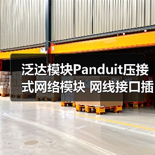 泛达模块Panduit压接式网络模块 网线接口插口 红色 六类NK688M（图2）
