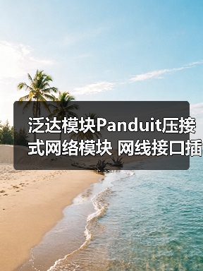 泛达模块Panduit压接式网络模块 网线接口插口 红色 六类NK688M（图3）