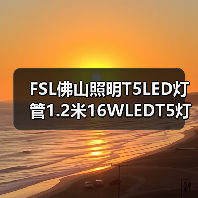 FSL佛山照明T5LED灯管1.2米16WLEDT5灯管日光灯管**批发（图2）