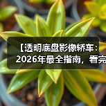 【透明底盘影像轿车:2026年最全指南,看完少走3年弯路】(图2) 【透明底盘影像轿车:2026年最全指南,看完少走3年弯路】(图2)