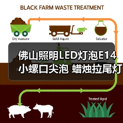 佛山照明LED灯泡E14小螺口尖泡 蜡烛拉尾灯泡5w水晶灯节能光源（图4）