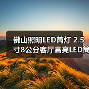 佛山照明LED筒灯 2.5寸8公分客厅高亮LED筒灯白玉银边天花灯孔灯（图4）