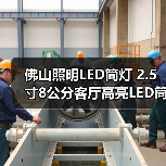 佛山照明LED筒灯 2.5寸8公分客厅高亮LED筒灯白玉银边天花灯孔灯（图2）
