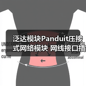泛达模块Panduit压接式网络模块 网线接口插口 ** 六类NK688M（图1）