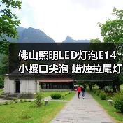 佛山照明LED灯泡E14小螺口尖泡 蜡烛拉尾灯泡5w水晶灯节能光源（图3）