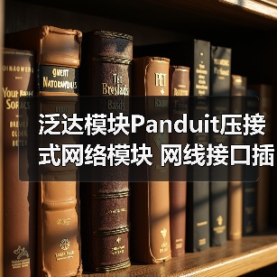 泛达模块Panduit压接式网络模块 网线接口插口 ** 六类NK688M（图3）