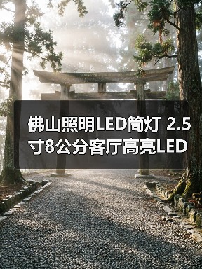 佛山照明LED筒灯 2.5寸8公分客厅高亮LED筒灯白玉银边天花灯孔灯（图3）