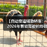 【自动变道辅助轿车:2026年智能驾驶的终极选择指南】(图3) 【自动变道辅助轿车:2026年智能驾驶的终极选择指南】(图3)