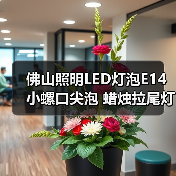佛山照明LED灯泡E14小螺口尖泡 蜡烛拉尾灯泡5w水晶灯节能光源（图2）
