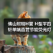 佛山照明H管 H型平四针单端直管节能荧光灯管18W24W36W40W三基色（图2）