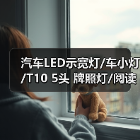 汽车LED示宽灯/车小灯/T10 5头 牌照灯/阅读灯/新增冰蓝色（图1）