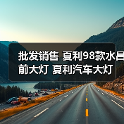 批发销售 夏利98款水昌前大灯 夏利汽车大灯（图1）