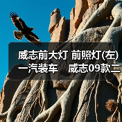 威志前大灯 前照灯(左)一汽装车　威志09款二厢三厢不带ＬＥD（图4）