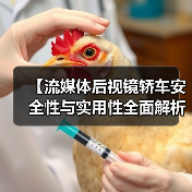 【流媒体后视镜轿车安全性与实用性全面解析，2026年最新选购指南】（图1）