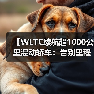 【WLTC续航超1000公里混动轿车:告别里程焦虑的终极解决方案】(图2) 【WLTC续航超1000公里混动轿车:告别里程焦虑的终极解决方案】(图2)