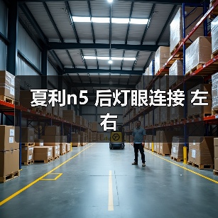 夏利n5 后灯眼连接 左右（图4）